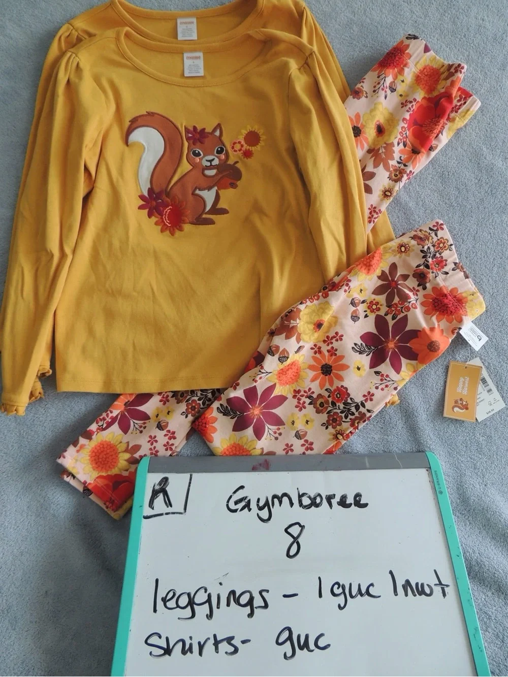 Gymboree Girls' Yellow Squirrel Top with Floral Leggings - Yellow twin set
